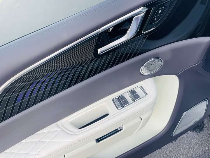 Фото 8 - Hongqi E-HS9