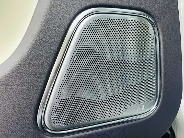 Фото 9 - Hongqi E-HS9