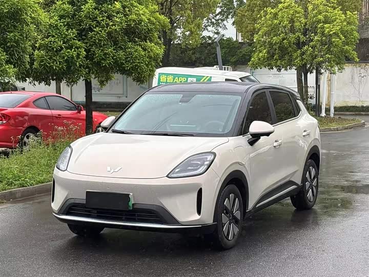 Wuling Bingo S