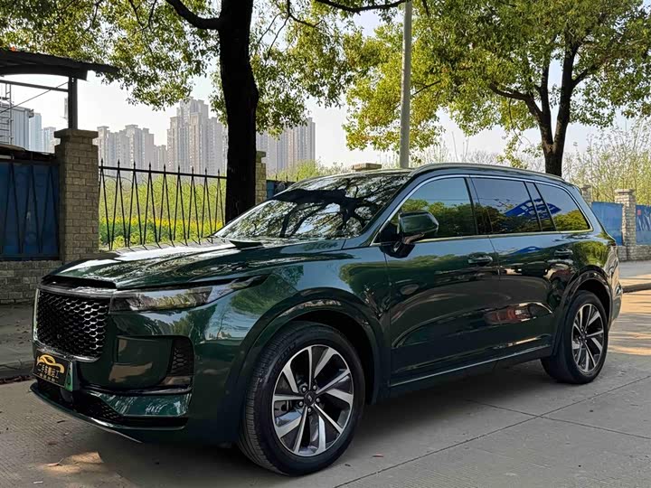 2021 LiXiang One