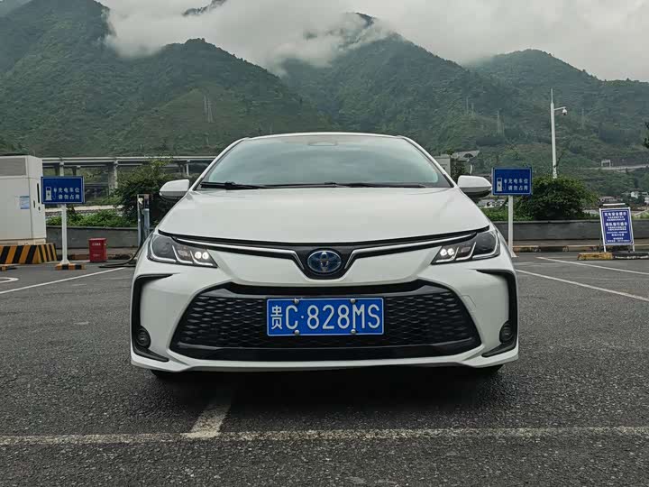 Toyota Corolla 2024 2024款 1.8L 智能电混双擎 精英版