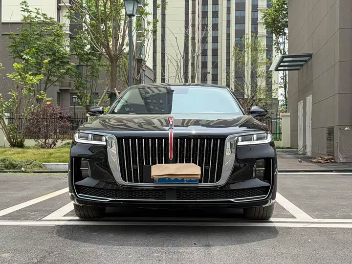Фото 2 - Hongqi H9
