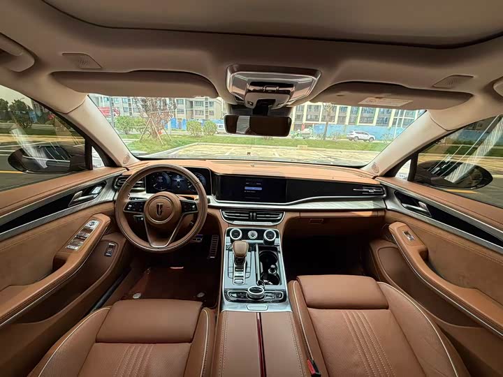 Фото 6 - Hongqi H9