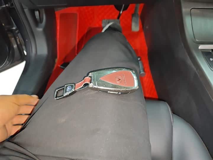 Changan CS55 Plus 2021 2021款 蓝鲸版 1.5T DCT豪华型
