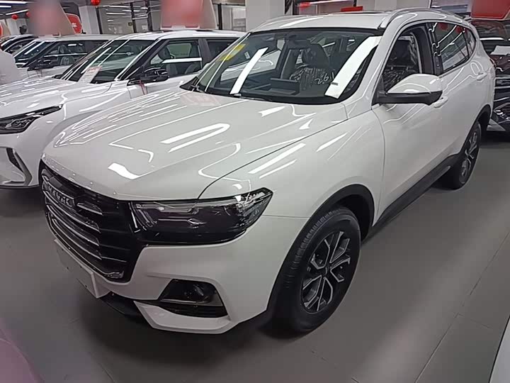 Haval H6 2025 2025款 1.5T 国潮都市版