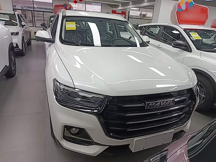 Haval H6 2025 2025款 1.5T 国潮都市版