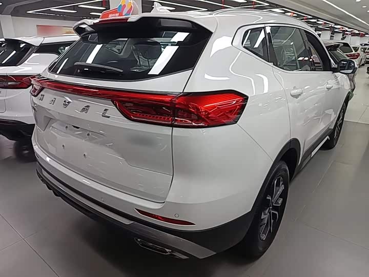 Haval H6 2025 2025款 1.5T 国潮都市版