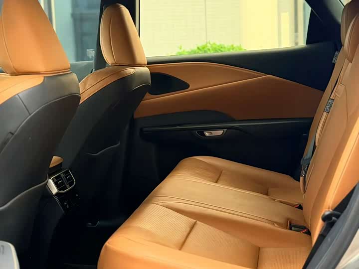 Lexus RX 2023 2023款 350h 两驱舒享版