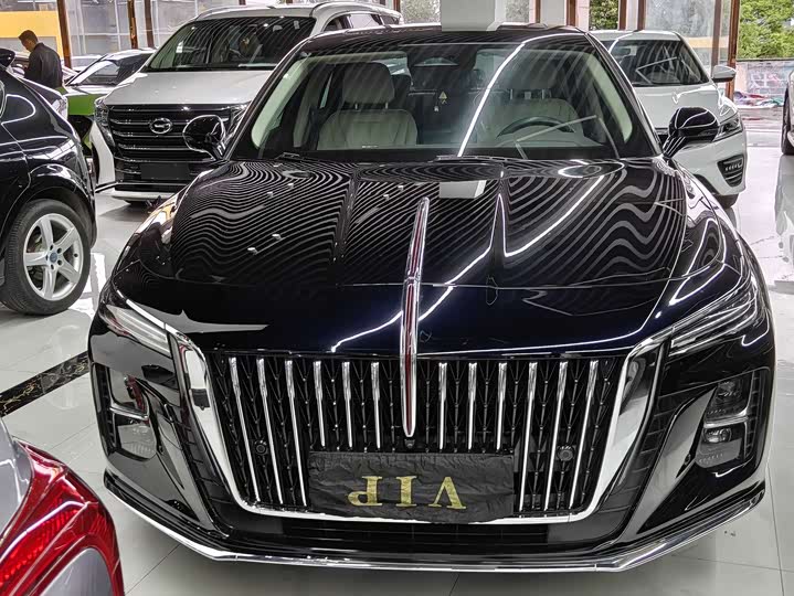 Photo 2 - Hongqi H5