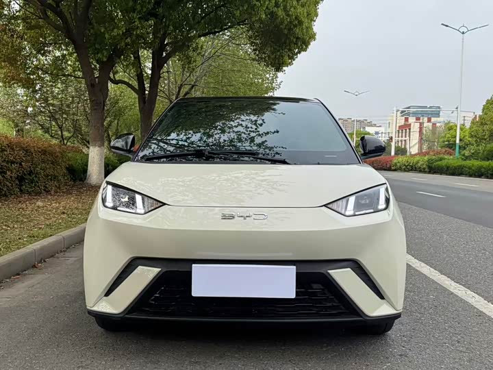 Фото 2 - BYD Seagull