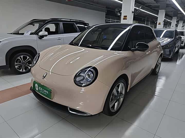 Ora Good Cat (03) 2023 2023款 401km标准续航 豪华型 磷酸铁锂
