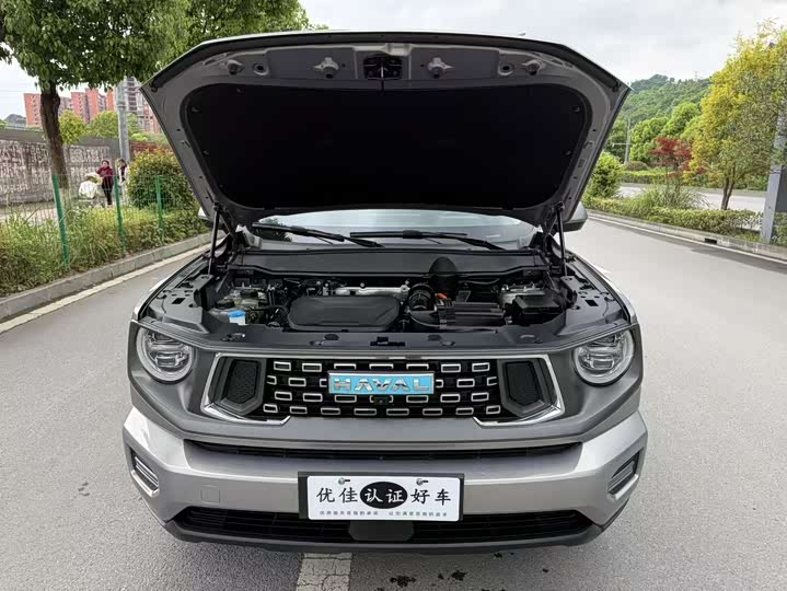 Haval H-Dog Hybrid 2023 2023款 DHT-PHEV 105km 潮电版