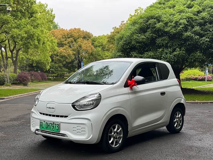 Roewe Clever 2022 2022款 311km元气啵啵版