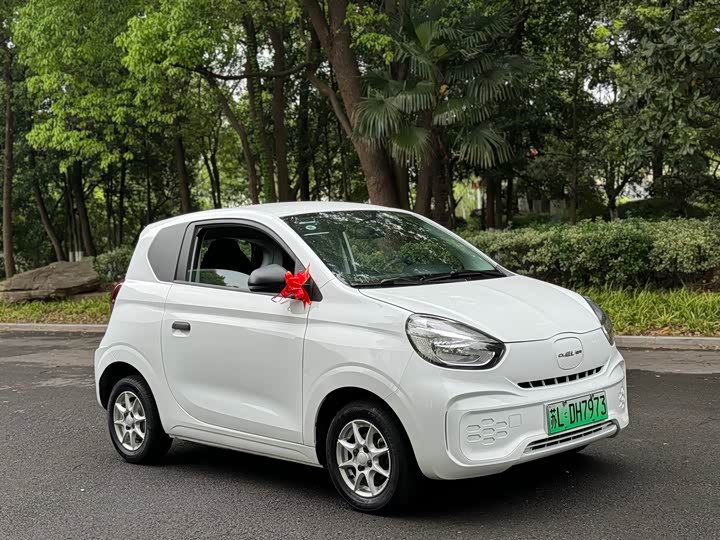 Roewe Clever 2022 2022款 311km元气啵啵版