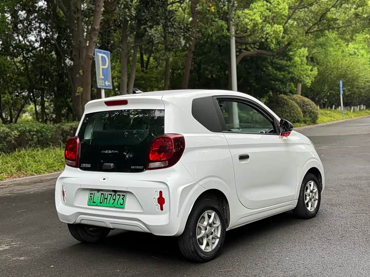 Roewe Clever 2022 2022款 311km元气啵啵版
