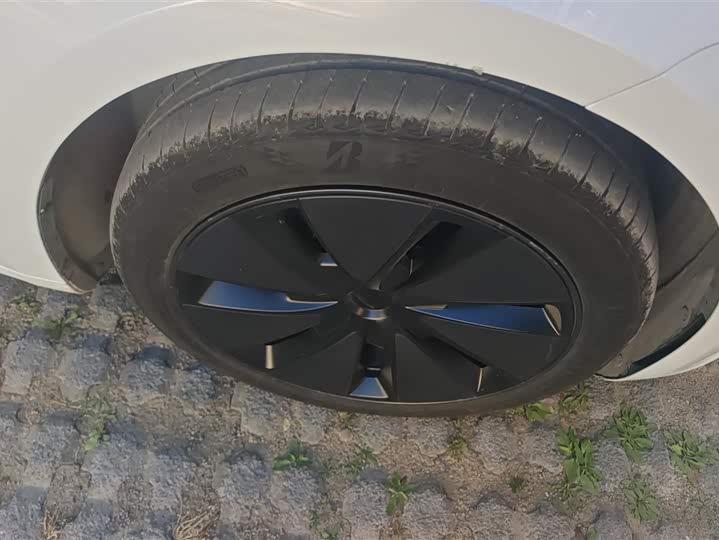 Tesla Model 3 2025 2025款 后轮驱动版