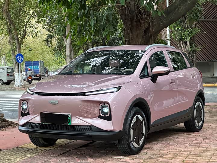 Geely Geometry E Firefly 2024 2024款 301km 星光