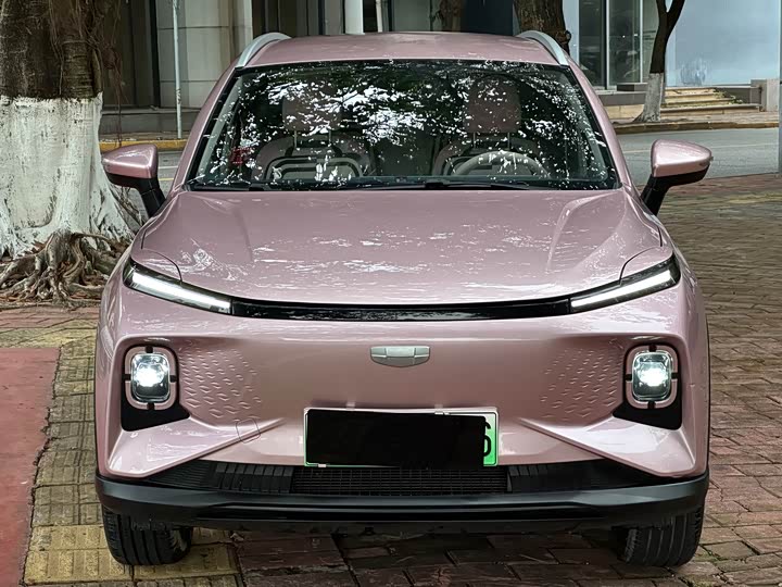 Geely Geometry E Firefly 2024 2024款 301km 星光
