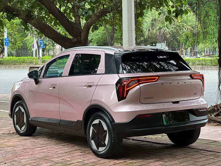 Geely Geometry E Firefly 2024 2024款 301km 星光