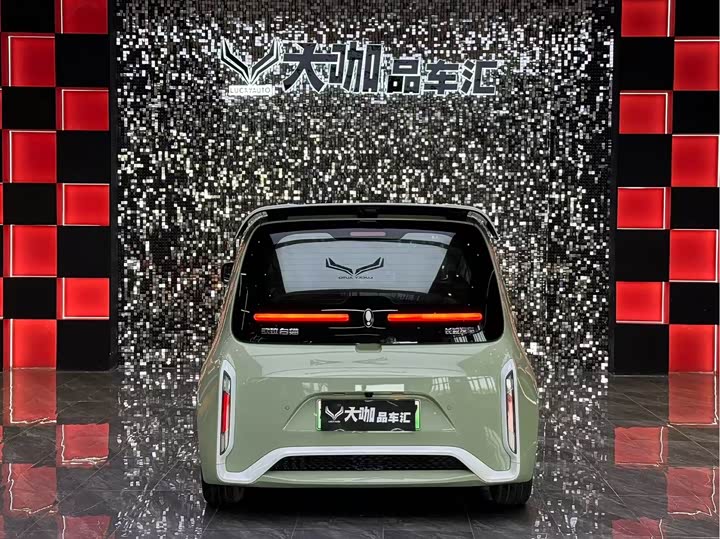 2022 Ora White Cat