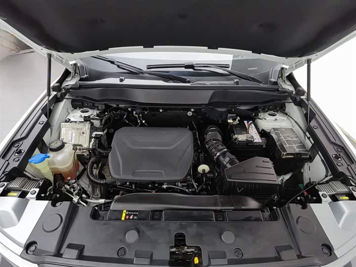 Haval Dargo 2024 2024款 1.5T DCT边牧版