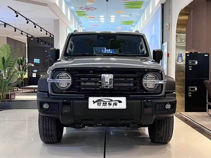 Tank 300 2025 2025款 2.0T 汽油挑战者