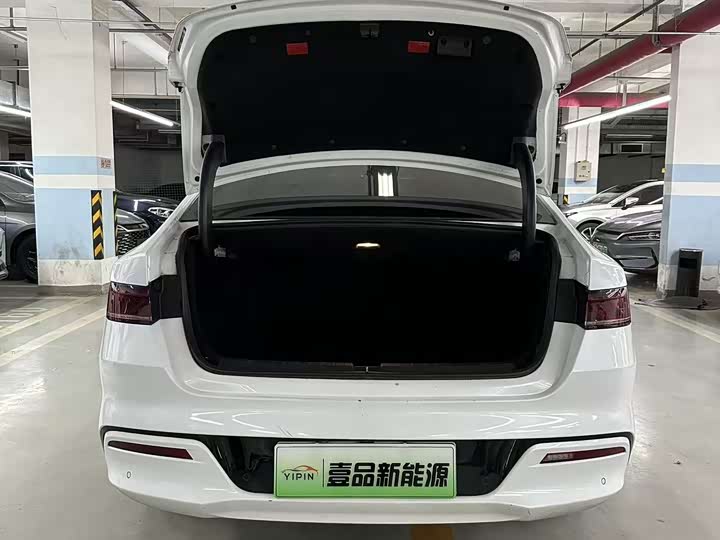 BYD Qin Plus 2021 2021款 EV 500KM 豪华型