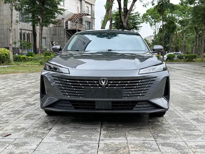 Фото 2 - Changan Eado Plus