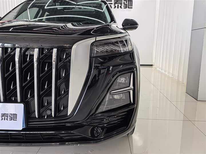 Фото 6 - Hongqi HS5