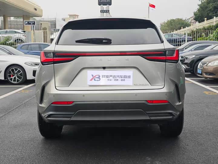 Lexus NX 2023 2023款 350h 前驱 创驰版