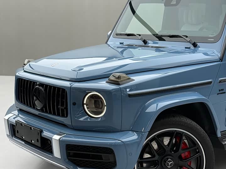 Фото 8 - Mercedes-Benz G-Class AMG