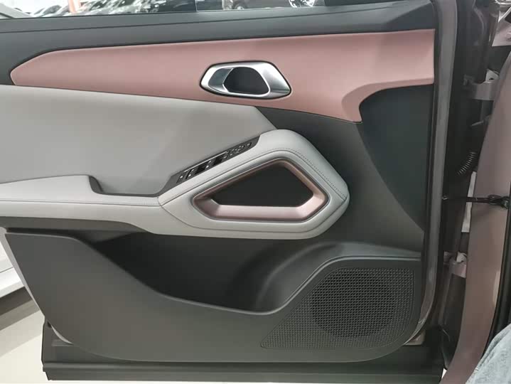 BYD Yuan Up 2025 2025款 智驾版 401KM 领先型