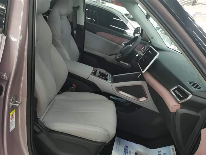 BYD Yuan Up 2025 2025款 智驾版 401KM 领先型