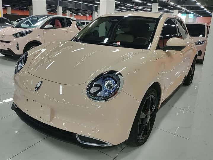 Ora Good Cat (03) 2024 2024款 501km 豪华型