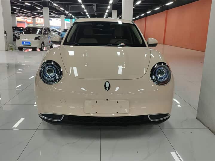 Ora Good Cat (03) 2024 2024款 501km 豪华型