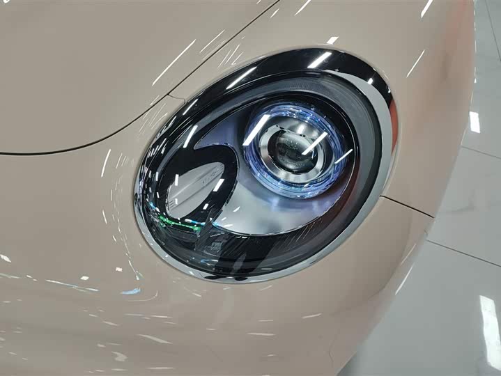 Ora Good Cat (03) 2024 2024款 501km 豪华型