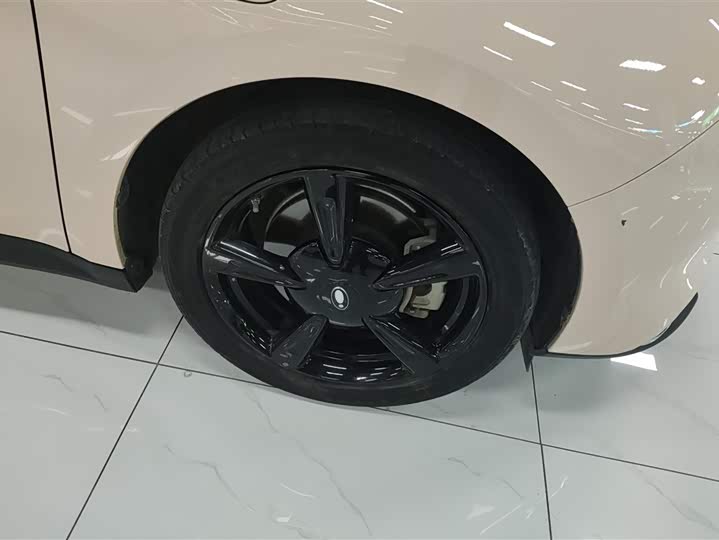 Ora Good Cat (03) 2024 2024款 501km 豪华型