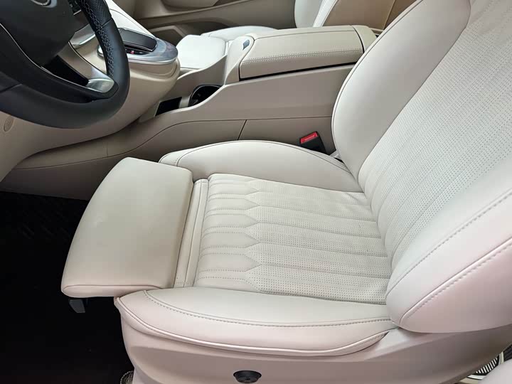 Mercedes-Benz V-Class 2022 2022款 V 260 领航版