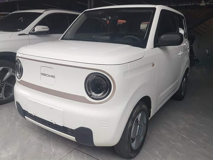 Geely Galaxy Panda Mini 2023 2023款 熊猫mini 200km 耐力熊