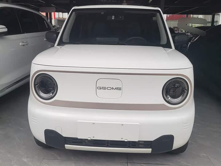 Geely Galaxy Panda Mini 2023 2023款 熊猫mini 200km 耐力熊