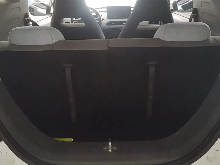 Geely Galaxy Panda Mini 2023 2023款 熊猫mini 200km 耐力熊