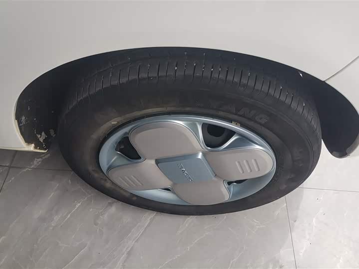 Geely Galaxy Panda Mini 2023 2023款 熊猫mini 200km 耐力熊