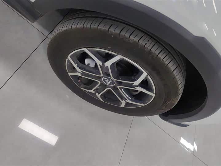 BYD Yuan Pro 2023 2023款 401KM豪华型
