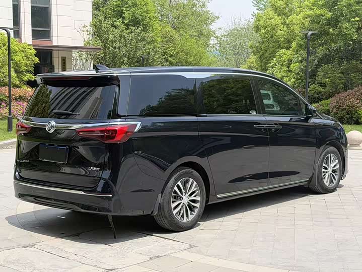Zdjęcie 7 - Buick GL8 ES