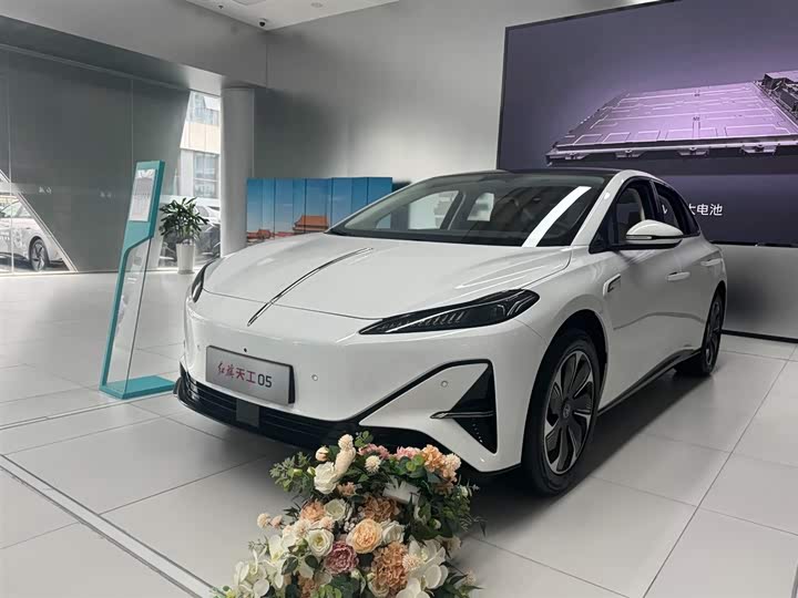 Hongqi EH5 (Tiangong 05) 2025 2025款 550智选版