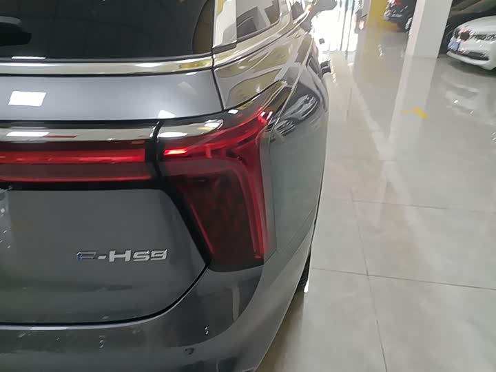 Hongqi E-HS9 2022 2022款 660km 旗畅版 六座