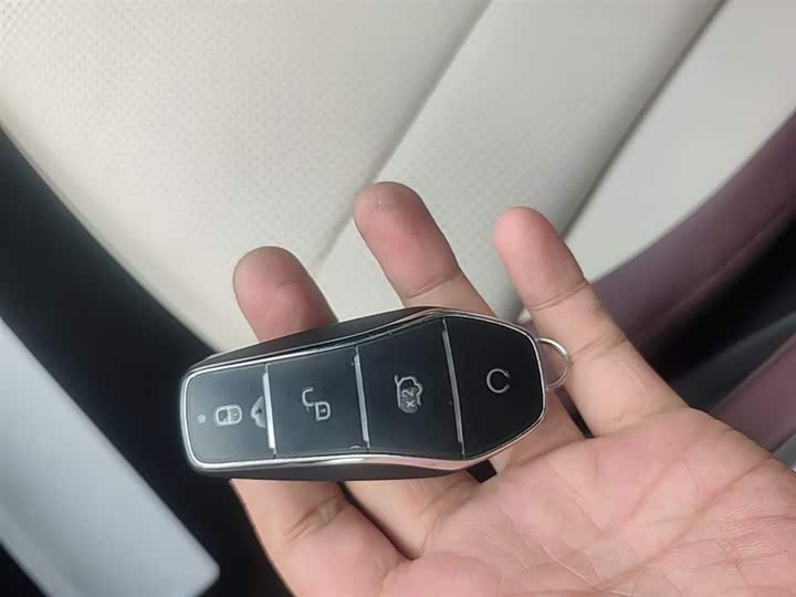 BYD Seal 07 DM-i Hybrid 2025 2025款 智驾版 DM-i 1.5L 125km 尊贵型