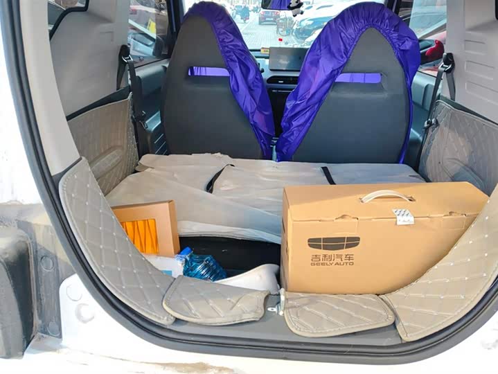 Geely Galaxy Panda Mini 2023 2023款 熊猫mini 200km 耐力熊