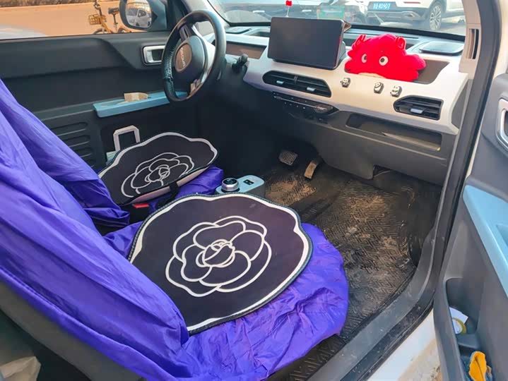 Geely Galaxy Panda Mini 2023 2023款 熊猫mini 200km 耐力熊
