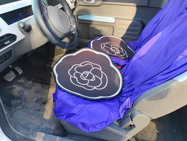 Geely Galaxy Panda Mini 2023 2023款 熊猫mini 200km 耐力熊